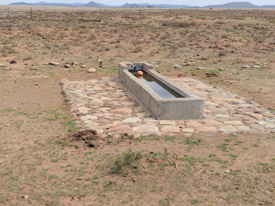 4 Bedroom Property for Sale in Steynsburg Eastern Cape